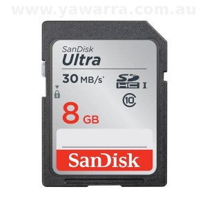 8GB SanDisk SD card