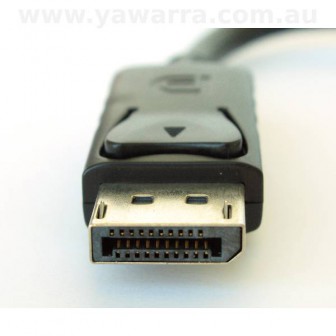 DisplayPort to DVI adapter DisplayPort end